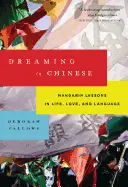 Dreaming in Chinese - by Deborah Fallows